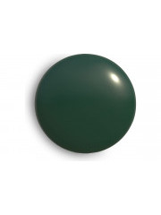 Краска акриловая CORALINO (520 мл, 200 г) RAL 6005